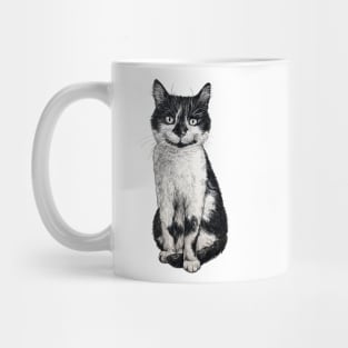 Ogie the cat Mug